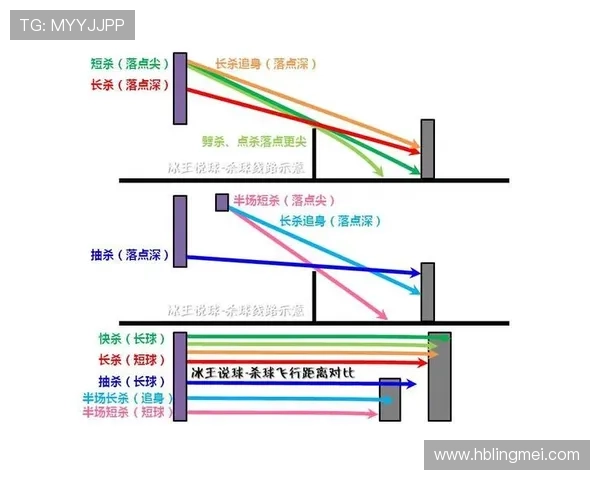 上海羽毛球队在世界锦标赛中的战术表现分析与启示 上海羽毛球队在世界锦标赛中的战术表现分析与启示