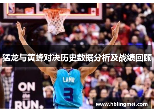 猛龙与黄蜂对决历史数据分析及战绩回顾