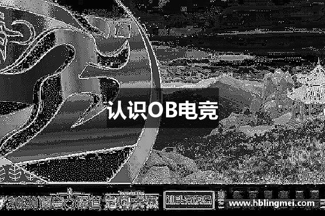 认识OB电竞
